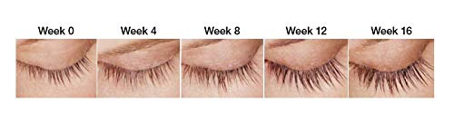 ADVANCED BROW & LASH SERUM SET - Eyelash Growth Serum + Eyebrow Growth Enhancer - Hormone-free Peptide Formula for Longer Natural Lashes & Fuller Eyebrows - Sérum de Pestañas y Cejas by DERMAWORKS
