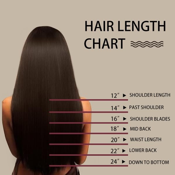14" Clip in Hair Extensions Remy Human Hair for Women - Silky Straight Balayage Clip on Real Hair Extensions 50grams 4pieces (14inches, #(1BT4) P1B)