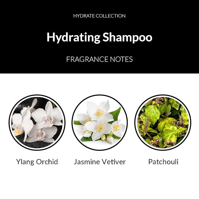 Number 4 Hydrating Shampoo, Shampoo for Women and Men. Sulfate, Gluten, & Paraben Free. Moisturizing & Color Protecting, 25 oz