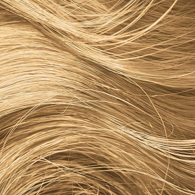 Root Touch Up Powder by Style Edit | Temporary Hair Color for Light Blonde, Dark Roots, Highlights, and Grays | Mineral Infused Concealer for Thinning Hair and Hairline | 0.14 oz.