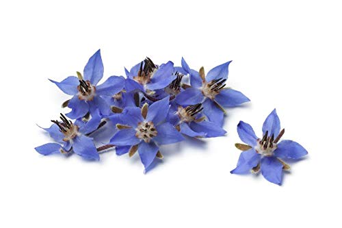 US Organic Borage seed Oil (18% GLA), USDA Certified Organic, 100% Pure & Natural, Cold Pressed, aka Starflower oil, in Amber Glass Bottle w/Eye dropper for Easy Application (4 oz (115 ml))