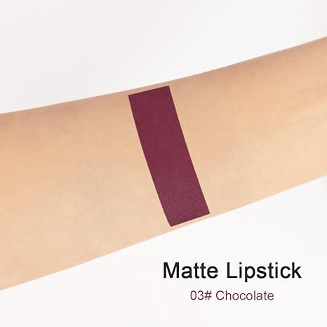Deep Dark Red Matte Lipstick and Lip Crayon Liner Pencil Pen Set for Women Lip Stain Long Lasting Waterproof labiales (1, 1Pcs 03# Dark Grape Purple)