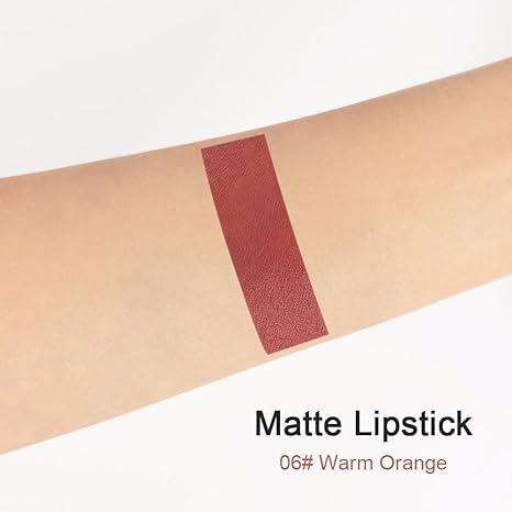 Generic Deep Dark Red Matte Lipstick and Lip Crayon Liner Pencil Pen Set for Women Lip Stain Long Lasting Waterproof labiales (1, 1Pcs 06# Brown)