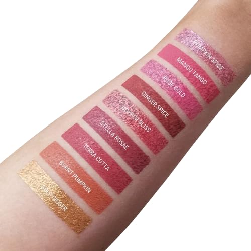 Aromi Ginger Spice Matte Liquid Lipstick | Nutmeg, Terra Cotta Lip Color, Vegan & Cruelty-free Beauty, Burnt Orange, Long-lasting, Smudge Proof, Handmade (Ginger Spice)