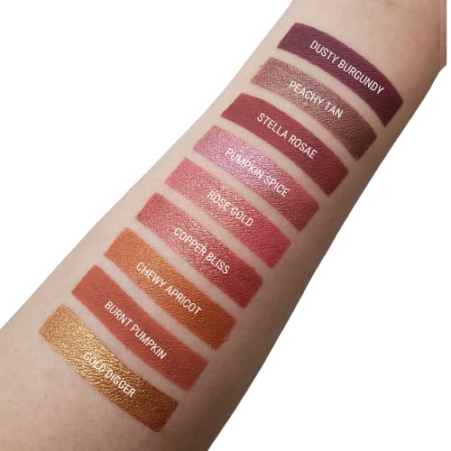 Aromi Matte Liquid Lipstick, Long-lasting, Chestnut, Rosy Lip Color, Vegan, Cruelty-free, Smudge Proof, Earthy Shade, Warm Tone (Stella Rosae)