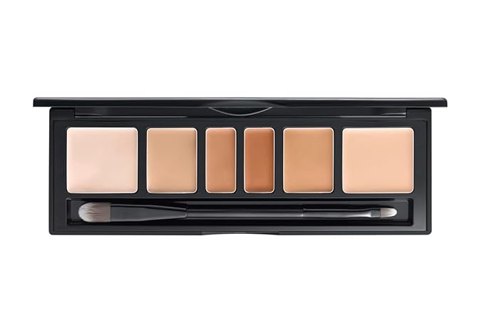 [JUNGSAEMMOOL OFFICIAL] Artist Concealer Palette (Skin) | Makeup Artist Brand | Color Corrector with Brush | Blemish Redness Dark Circles Cover Up