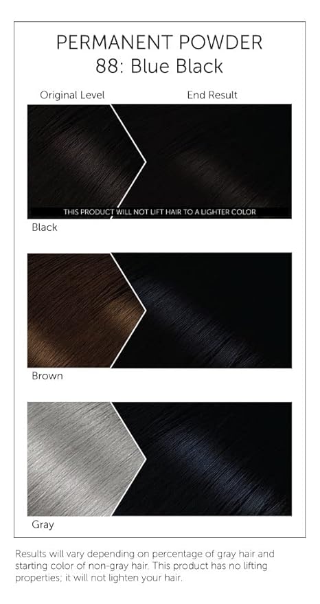 #88 Blue Black Bigen Permanent Powder - 12 Pack