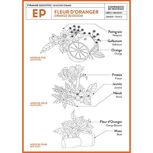Compagnie de Provence Savon de Marseille Extra Pure Liquid Soap - Orange Blossom - 33.8 fl oz Plastic Bottle Refill