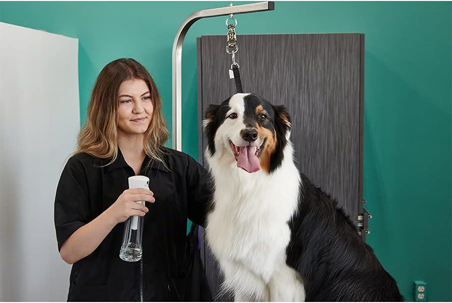 Continuous Spray Bottle 12 oz. - Pack of 3