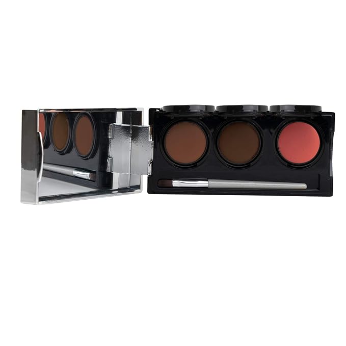 Tattoo Cover Up Makeup, Bruise Concealer, Waterproof, Smudge proof, 3 colors + brush, by Dermaflage, 6.9g/.24oz