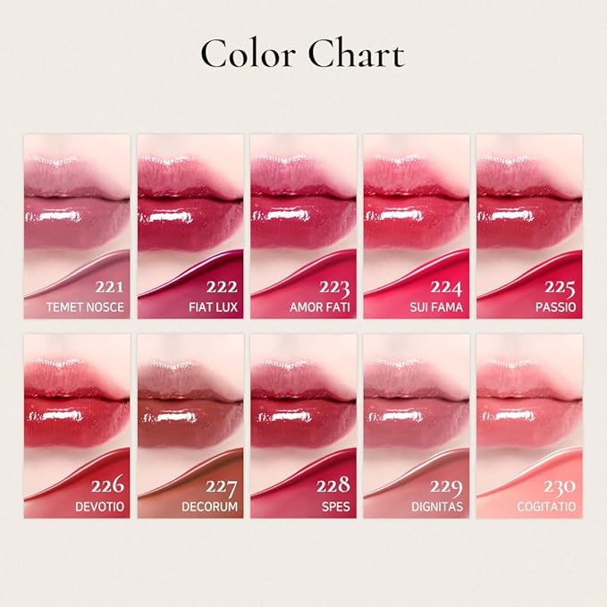 DINTO Blur-Glowy Lip Tint - Glossy Finish, Hydrating, Long Lasting, Lightweight Texture, Non-Sticky, Vegan & Cruelty-Free, K beauty (210 Reverentia, 0.11 fl.oz) (30 colors)