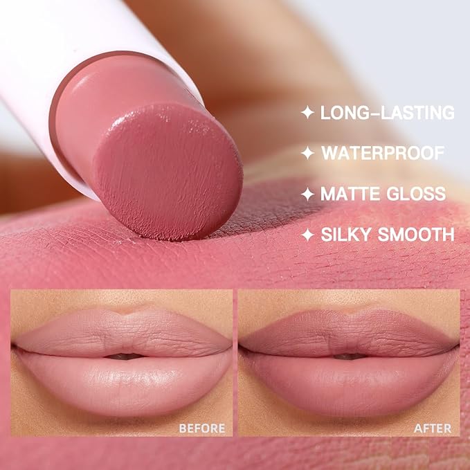 USHAS 2 in 1 Waterproof Lipstick and 24H Lip Liner Set - Long Lasting Matte Lipstick Pen Kits