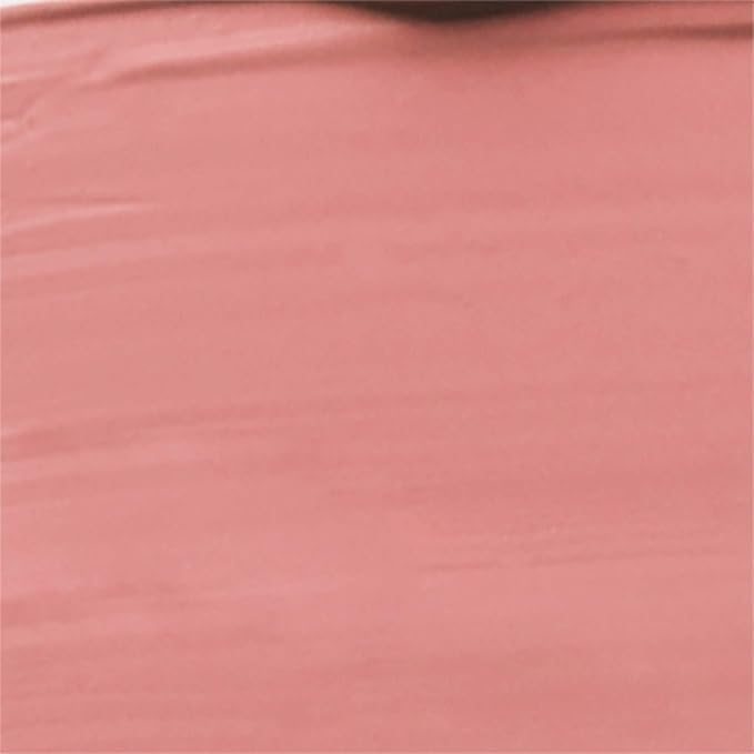 wet n wild Megalast Catsuit Matte Liquid Lipstick, Pink Nudist Peach | Lip Color Makeup | Moisturizing | Creamy | Smudge Proof