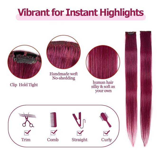 Winsky Burgundy Clip in Colored Hair Extensions 100% Real Human Hair - Straight Highlights Colored Clip on Christmas Hairpieces 5 Pieces/Set (18inch, Burgundy)