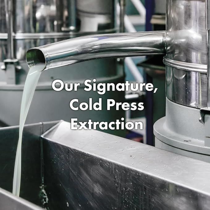 RATED GREEN Real Argan Repairing Travel Size Shampoo | Organic Cold Pressed Ingredient & 13 Peptide Complex | For Brittle and Damaged hair | Silicone-Free, Korean Hair Care | 3.38 fl oz