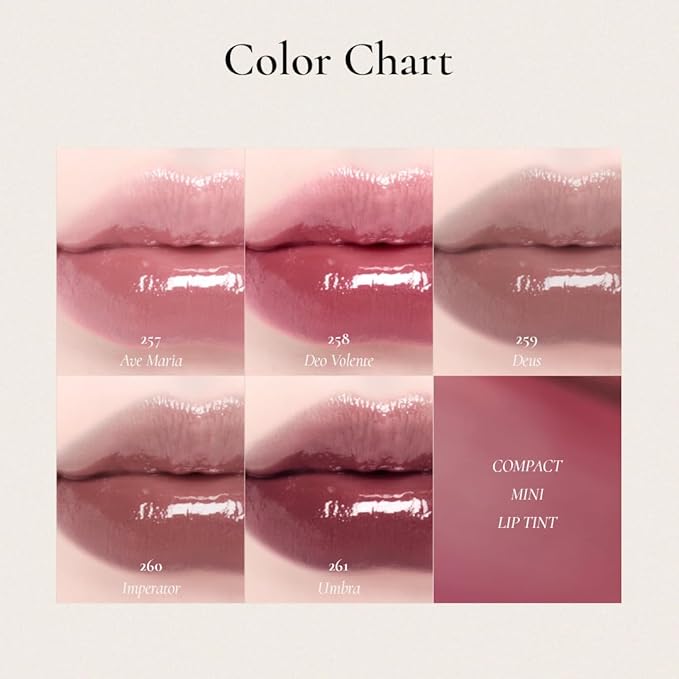 DINTO Blur-Glowy MINI Lip Tint (254 Anima Fortis) - Glossy Finish, Hydrating, Long Lasting, Lightweight Texture, Non-Sticky, Vegan & Cruelty-Free, Korean makeup (11 colors)