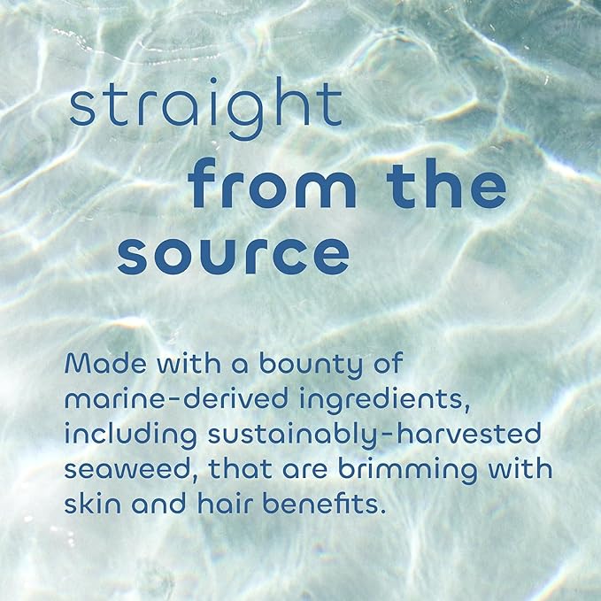 Seaweed Bath Co. Balance Shampoo, Eucalyptus Peppermint Scent, 12 Ounce, Sustainably Harvested Seaweed, Pro Vitamin B5, For Normal to Oily Hair