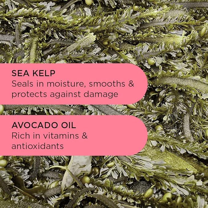 Noughty 97% Natural Wave Hello Curl Defining Conditioner, to Condition, Soften and Define Curls with Sea Kelp Extract and Avocado Oil, Sulfate Free Vegan Haircare 8.4fl.oz