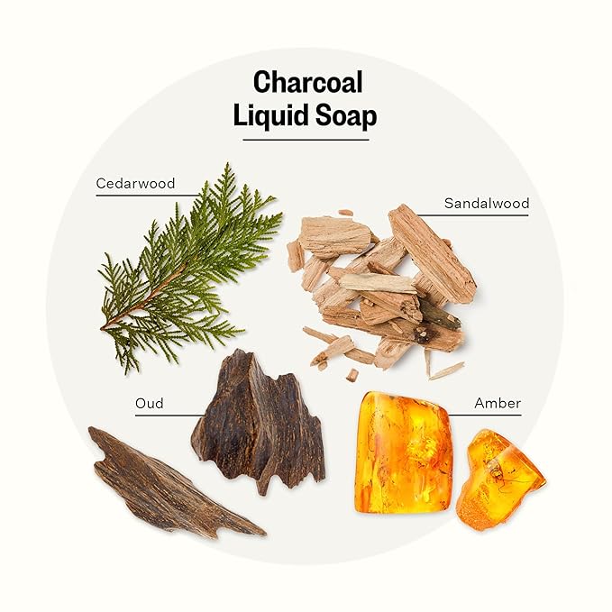 APOTHEKE Liquid Hand Soap, Charcoal - 10 Fl Oz Hydrating Handsoap with Premium Fragrance Oils Gently Cleanses, Moisturizes & Rejuvenates Skin - Scented Hand Wash for Kitchen & Bathroom
