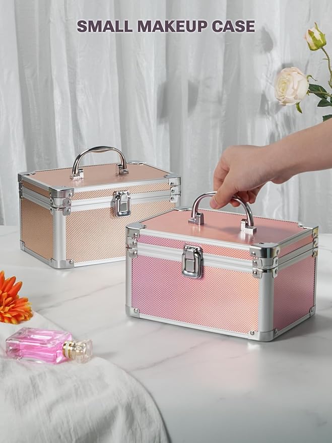 Qislee Makeup Box Mini with A Detachable Lighted Mirror, Waterproof Small Makeup Case,Cosmetic Organizer and Travel Train Case with Magnetic LED Mirror(Silver Frame Iridescent Pink)