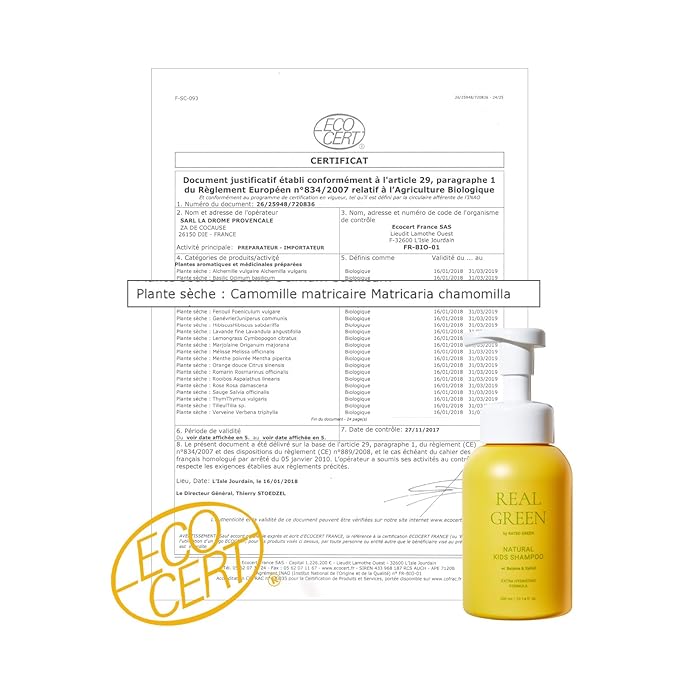 RATED GREEN Real Green Natural Kids Shampoo | Organic Cold Brewed Chamomile, Betaine & Xylitol | For Dry Kids Hair | Silicone-Free, Korean Hair Care | 10.14 Fl. Oz