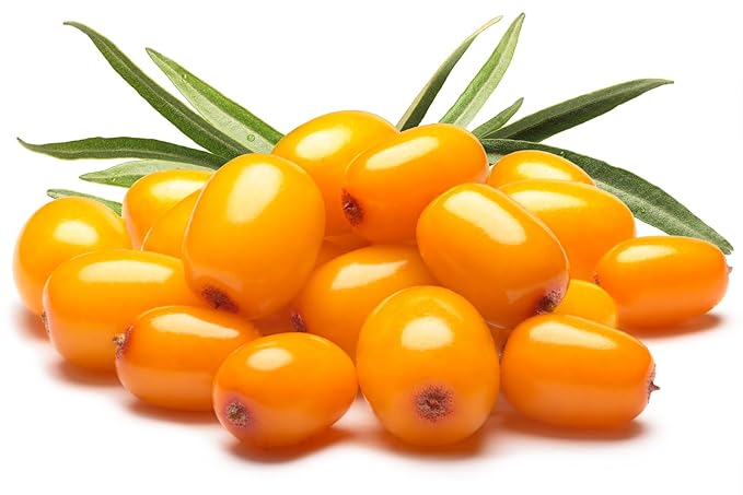 US Organic Sea Buckthorn Berry (Fruit) Oil, Supercritical CO2 extracted, USDA Certified Organic,100% Pure Virgin, Unrefined in Amber Glass Bottle, Face, Hair, spot treatment, Anti Aging, 2 oz (56 ml)