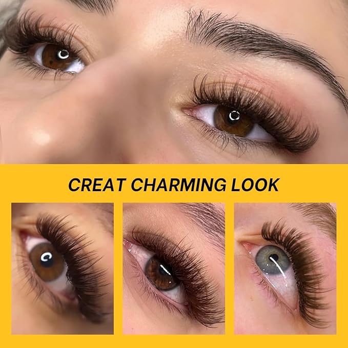 500 Premade Fans Lash Extension 10D 0.05 C Curl Dark Brown Promade Fans 11mm Premade Lash Fans Middle Stem Handmade Loose Fans Soft Pointy Base Volume Pre made Eyelash Fans(10D,0.05-C-11MM)