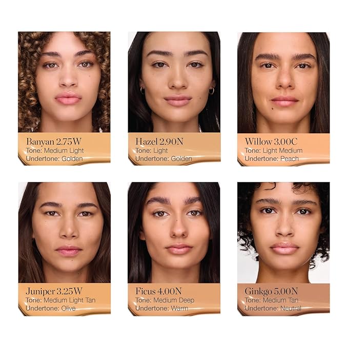 Ogee Complexion Perfecting Under Eye Concealer - Certified Organic Full Coverage Concealer - Buildable Coverage - FICUS 4.00N - Medium Deep (Warm Undertones)