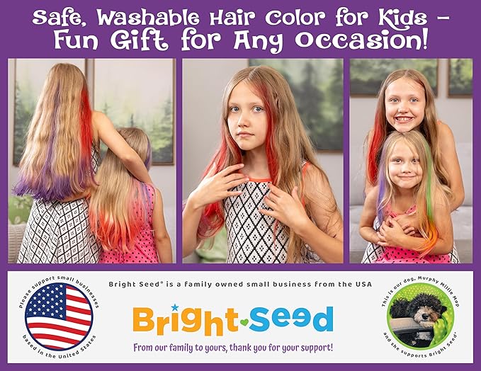 Bright Seed Hair Chalk For Girls Washable, Temporary Hair Color, Paint & Dye for Kids, Makeup Kit of 6 colors, Great Toy & Birthday Gifts for Kids Age 5 6 7 8 9 10 11 12 13, Craft for Tween & Teen