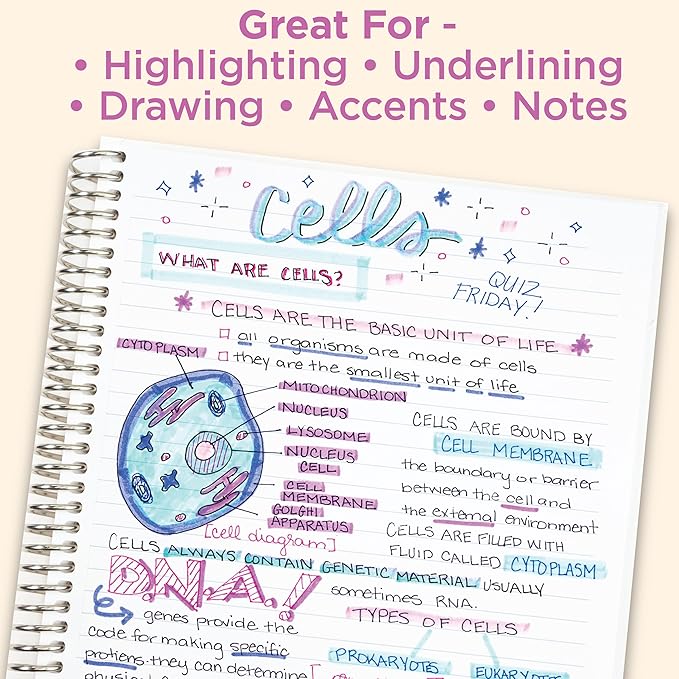 Zebra Pen Mildliner Dual-Tip Highlighters, Chisel and Bullet Tips, Ideal for Bible Highlighting, No Bleed, School Supplies and Teacher Supplies, Assorted Neutral and Gentle Ink Colors, 10-Pack (78701)