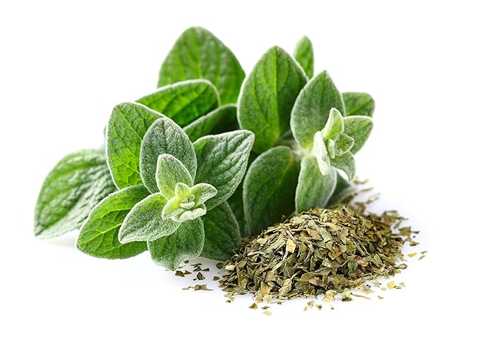 US Organic 100% Pure Oregano Essential Oil - USDA Certified Organic, Steam Distilled (10 ml)