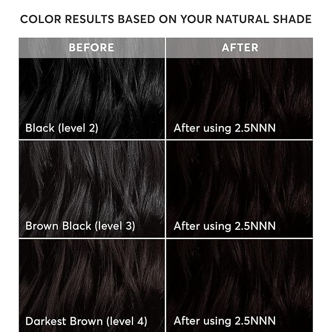 Madison Reed Radiant Hair Color Kit | 2.5NNN Soft Black (Parma Black) 100% Maximum Gray Hair Coverage | Salon-Quality Permanent Hair Dye for Resistant Grays | PPD-Free & Ammonia-Free |1 Pack