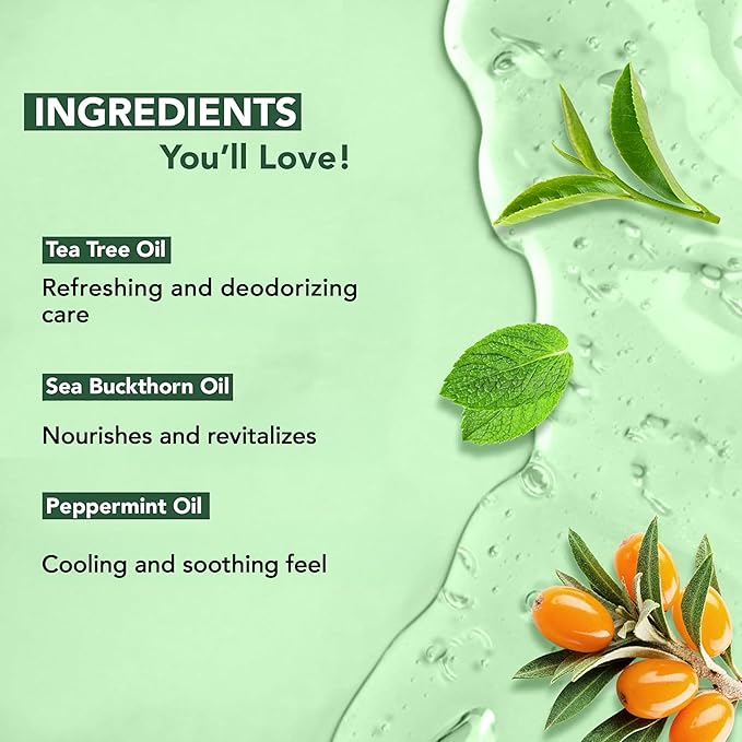 Botanic Hearth Tea Tree Body Wash for Men and Women - Moisturizing Body Wash Helps Soothe the Skin - Refreshing and Hydrating Cleanser, Sulfate Free, Paraben Free - 16 Fl Oz