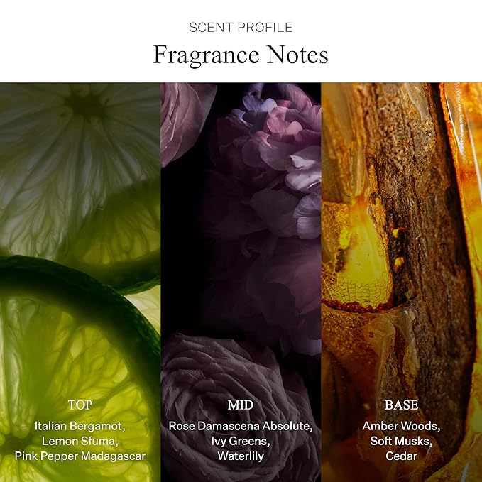 AllSaints Ravaged Rose Eau De Parfum - Floral & Fruity Perfume with Rose Fragrance - Intense Unisex Perfume with Amber & Woods - Rich Fragrance for Daytime Wear - 30mL/1 fl oz