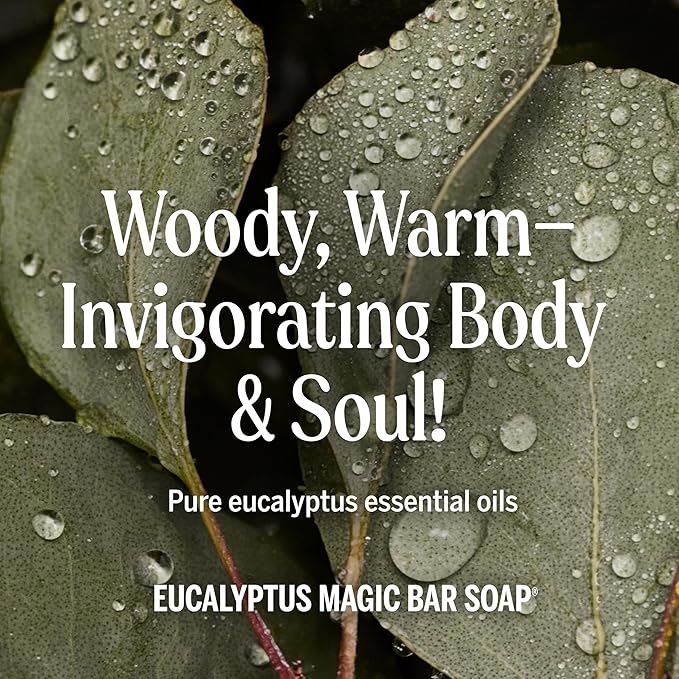 Dr. Bronner's Pure-Castile Magic Bar Soaps (Eucalyptus, 5oz, 12-Pack) – Made with RegeOrganic Oils, Soap Bars for Men & Women, Gentle for Face & Sensitive Skin, Vegan, Cruelty-Free, Non-GMO